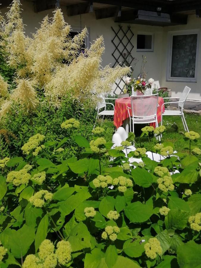 Secret Garden House In The Center Of Sigulda Villa Eksteriør bilde