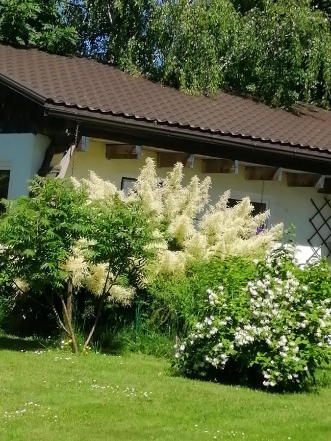 Secret Garden House In The Center Of Sigulda Villa Eksteriør bilde